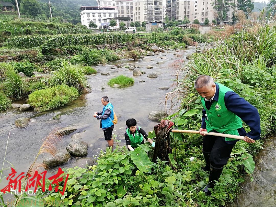 刘惟炳:夫夷水畔“忠诚卫士”_邵阳头条网